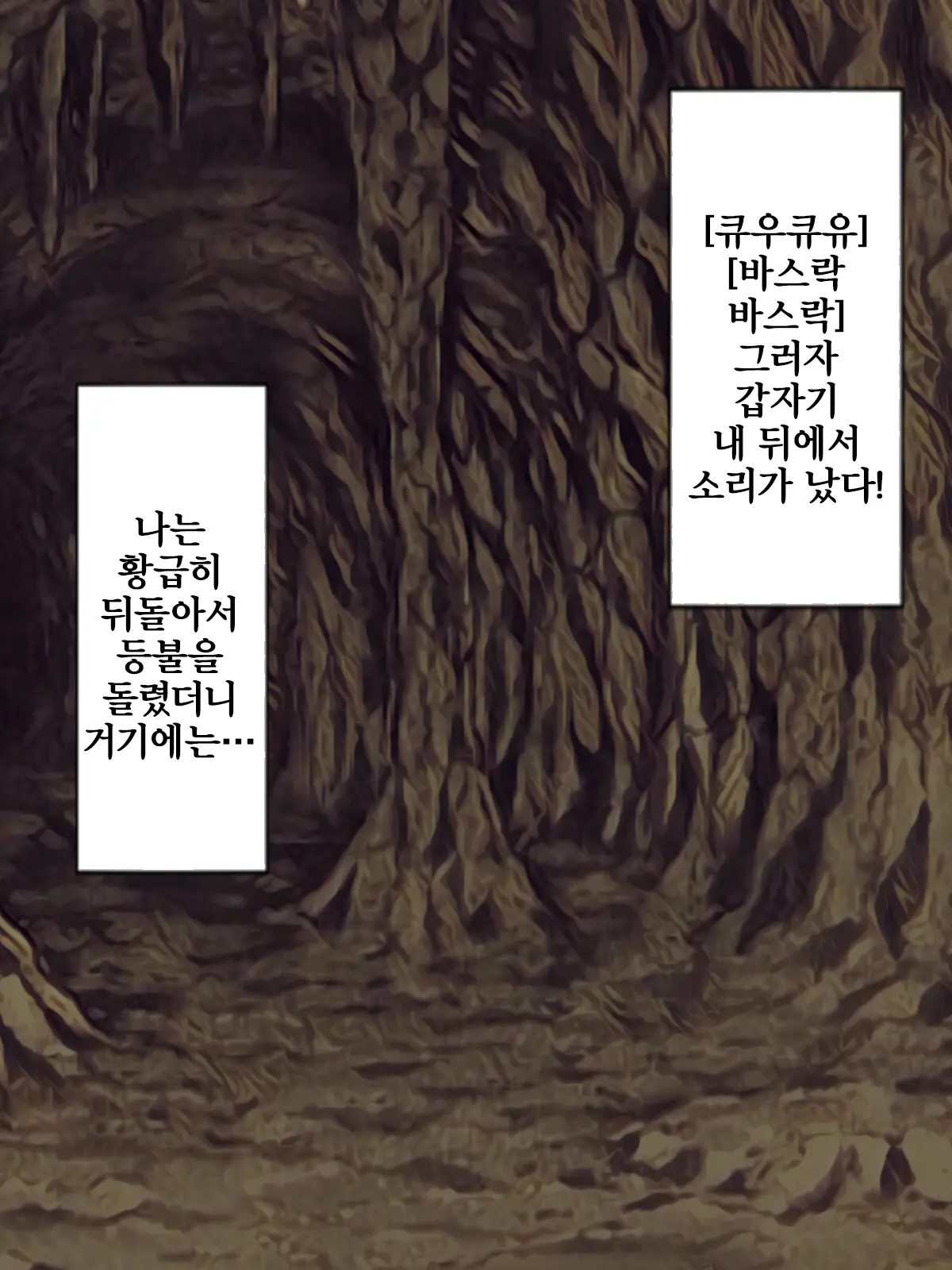 Kaikoga No Kaibutsu | 누에나방 괴물